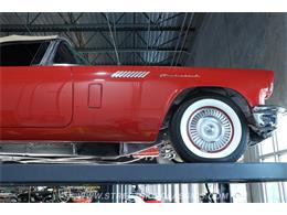 1957 Ford Thunderbird (CC-2074815) for sale in Lutz, Florida