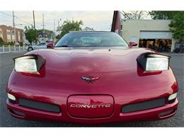2004 Chevrolet Corvette (CC-2070484) for sale in Woodbury, New Jersey