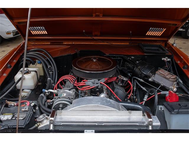1976 Ford Bronco (CC-2074863) for sale in Venice, Florida