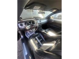 2008 Ford Mustang (CC-2074896) for sale in Greensboro, North Carolina