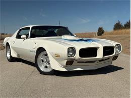 1973 Pontiac Firebird Trans Am (CC-2074908) for sale in Lincoln, Nebraska