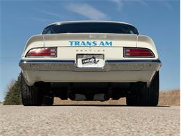 1973 Pontiac Firebird Trans Am (CC-2074908) for sale in Lincoln, Nebraska