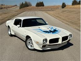 1973 Pontiac Firebird Trans Am (CC-2074908) for sale in Lincoln, Nebraska