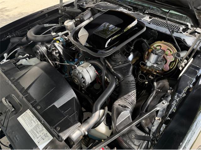 1978 Pontiac Firebird Trans Am (CC-2074910) for sale in Lincoln, Nebraska