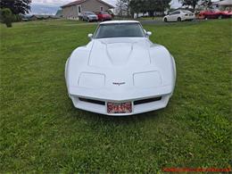 1980 Chevrolet Corvette (CC-2074996) for sale in MARTINSBURG, Pennsylvania