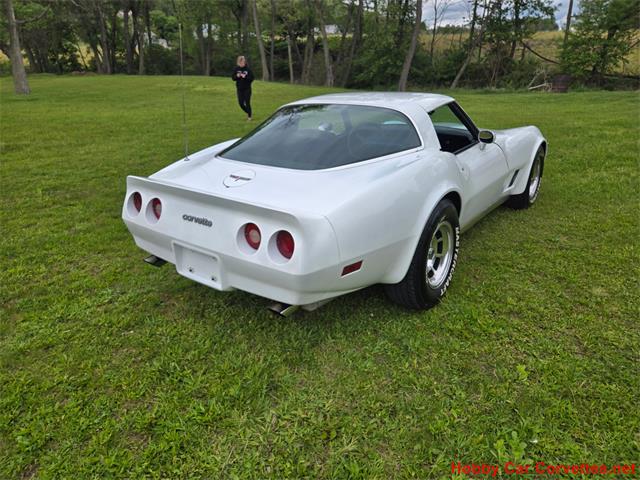 1980 Chevrolet Corvette (CC-2074996) for sale in MARTINSBURG, Pennsylvania