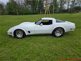 1980 Chevrolet Corvette (CC-2074996) for sale in MARTINSBURG, Pennsylvania