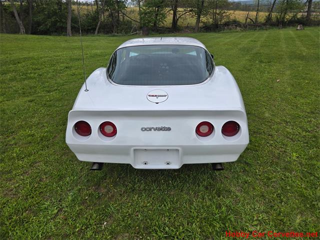 1980 Chevrolet Corvette (CC-2074996) for sale in MARTINSBURG, Pennsylvania