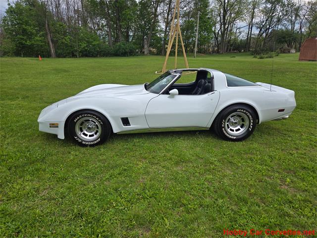 1980 Chevrolet Corvette (CC-2074996) for sale in MARTINSBURG, Pennsylvania