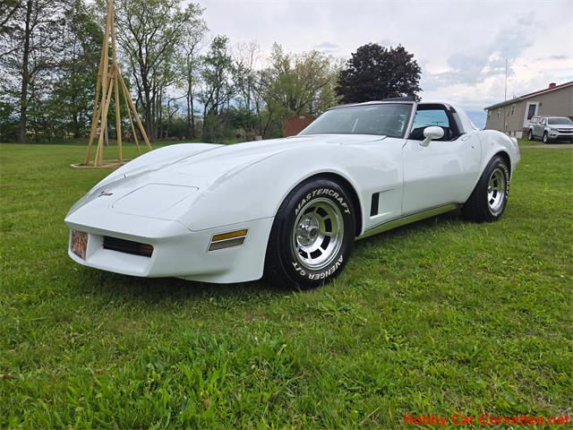 1980 Chevrolet Corvette (CC-2074996) for sale in MARTINSBURG, Pennsylvania