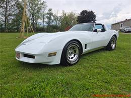 1980 Chevrolet Corvette (CC-2074996) for sale in MARTINSBURG, Pennsylvania