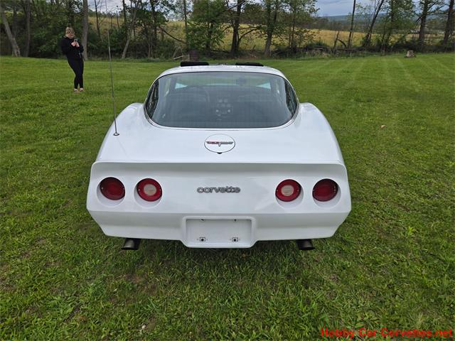 1980 Chevrolet Corvette (CC-2074996) for sale in MARTINSBURG, Pennsylvania