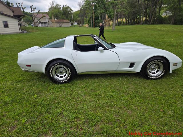 1980 Chevrolet Corvette (CC-2074996) for sale in MARTINSBURG, Pennsylvania