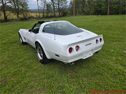 1980 Chevrolet Corvette (CC-2074996) for sale in MARTINSBURG, Pennsylvania