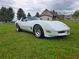 1980 Chevrolet Corvette (CC-2074996) for sale in MARTINSBURG, Pennsylvania