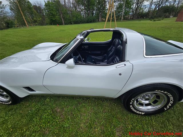 1980 Chevrolet Corvette (CC-2074996) for sale in MARTINSBURG, Pennsylvania
