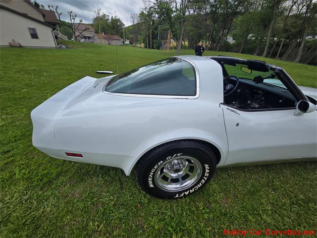 1980 Chevrolet Corvette (CC-2074996) for sale in MARTINSBURG, Pennsylvania