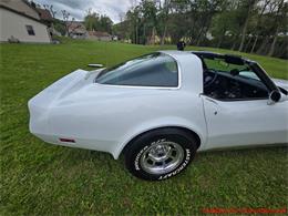 1980 Chevrolet Corvette (CC-2074996) for sale in MARTINSBURG, Pennsylvania