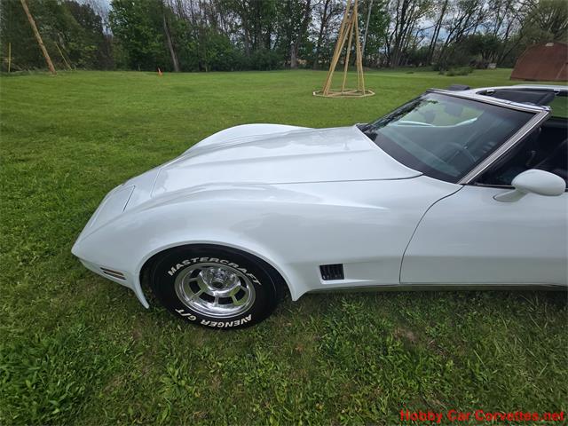 1980 Chevrolet Corvette (CC-2074996) for sale in MARTINSBURG, Pennsylvania