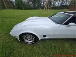 1980 Chevrolet Corvette (CC-2074996) for sale in MARTINSBURG, Pennsylvania