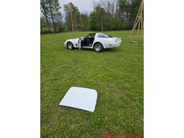 1980 Chevrolet Corvette (CC-2074996) for sale in MARTINSBURG, Pennsylvania