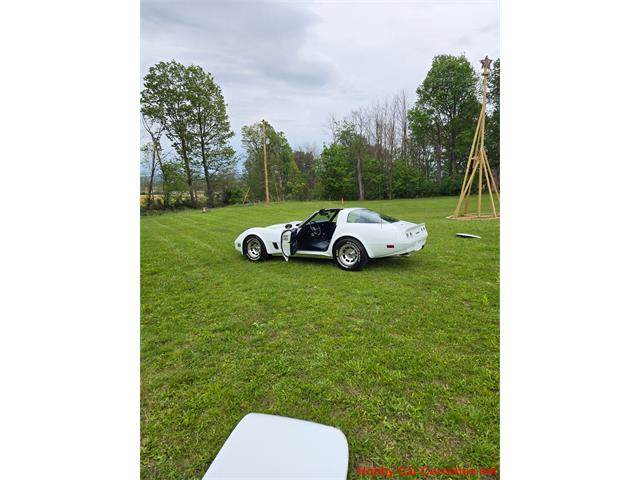 1980 Chevrolet Corvette (CC-2074996) for sale in MARTINSBURG, Pennsylvania