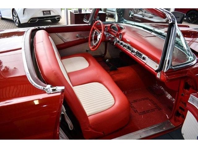 1956 Ford Thunderbird (CC-2074998) for sale in Dunkirk, Maryland