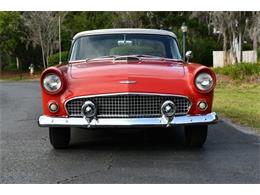 1956 Ford Thunderbird (CC-2074998) for sale in Dunkirk, Maryland