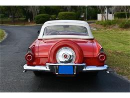 1956 Ford Thunderbird (CC-2074998) for sale in Dunkirk, Maryland