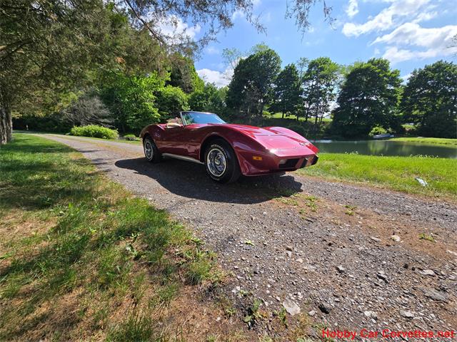 1969 Chevrolet Corvette (CC-2075002) for sale in MARTINSBURG, Pennsylvania