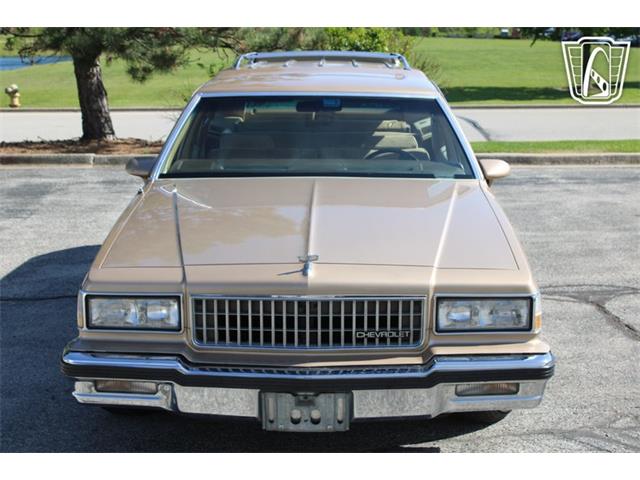 1987 Chevrolet Caprice (CC-2075036) for sale in Crete, Illinois