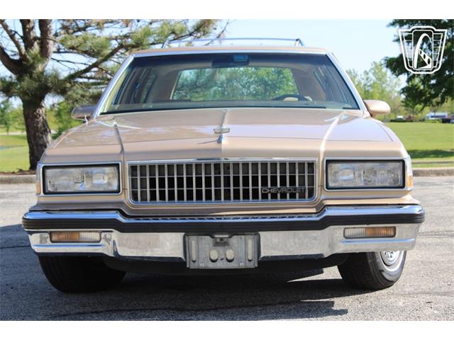 1987 Chevrolet Caprice (CC-2075036) for sale in Crete, Illinois
