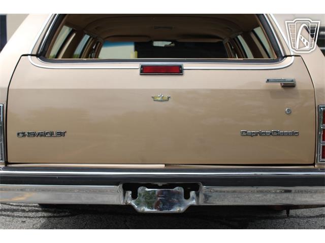1987 Chevrolet Caprice (CC-2075036) for sale in Crete, Illinois