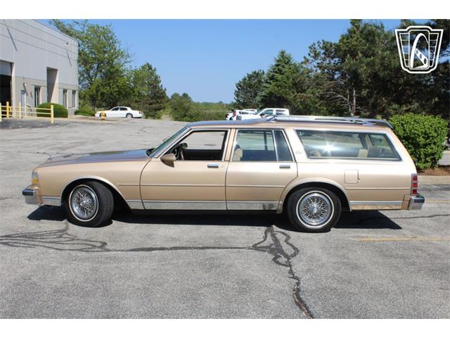 1987 Chevrolet Caprice (CC-2075036) for sale in Crete, Illinois