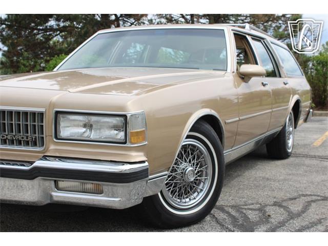 1987 Chevrolet Caprice (CC-2075036) for sale in Crete, Illinois