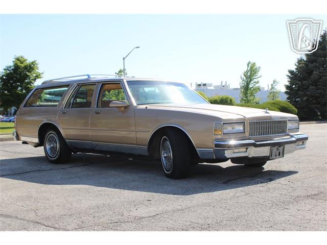 1987 Chevrolet Caprice (CC-2075036) for sale in Crete, Illinois