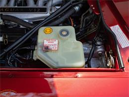1992 Jaguar Convertible (CC-2075049) for sale in Torrance, California