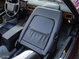 1992 Jaguar Convertible (CC-2075049) for sale in Torrance, California