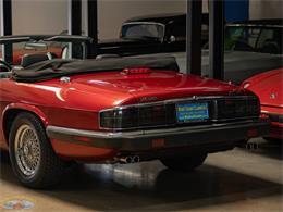1992 Jaguar Convertible (CC-2075049) for sale in Torrance, California