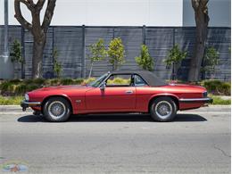 1992 Jaguar Convertible (CC-2075049) for sale in Torrance, California