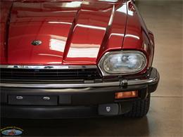 1992 Jaguar Convertible (CC-2075049) for sale in Torrance, California