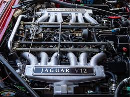 1992 Jaguar Convertible (CC-2075049) for sale in Torrance, California