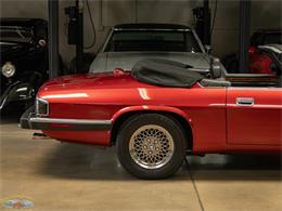 1992 Jaguar Convertible (CC-2075049) for sale in Torrance, California
