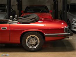 1992 Jaguar Convertible (CC-2075049) for sale in Torrance, California
