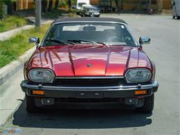 1992 Jaguar Convertible (CC-2075049) for sale in Torrance, California