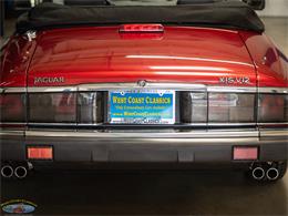 1992 Jaguar Convertible (CC-2075049) for sale in Torrance, California