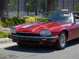 1992 Jaguar Convertible (CC-2075049) for sale in Torrance, California