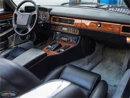 1992 Jaguar Convertible (CC-2075049) for sale in Torrance, California