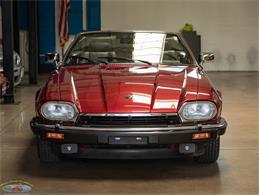 1992 Jaguar Convertible (CC-2075049) for sale in Torrance, California