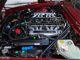 1992 Jaguar Convertible (CC-2075049) for sale in Torrance, California